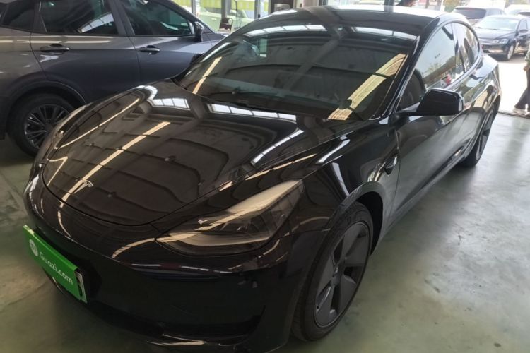 Tesla Model 3 2021 #2 Tesla Model 3 2021 immagine di auto #2