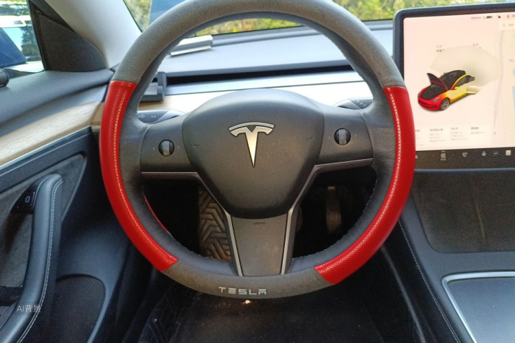 Tesla Model 3 2021 car image #12