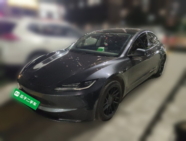 Tesla Model 3 2024 Tesla Model 3 2024 car image