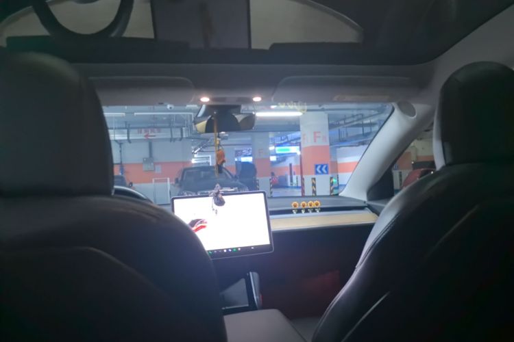 Tesla Model 3 2020 car image #18