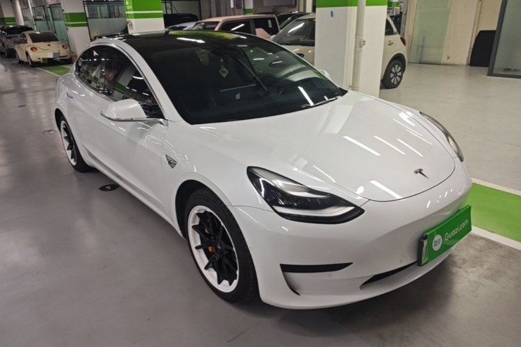 Tesla Model 3 2020 #4 Tesla Model 3 2020 car image #4