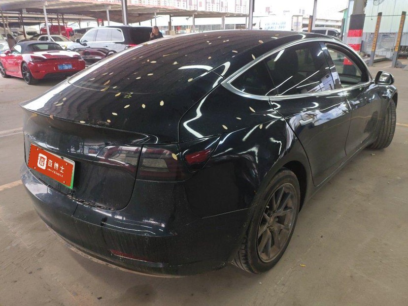 Tesla Model 3 (Imported) 2020 car image #7