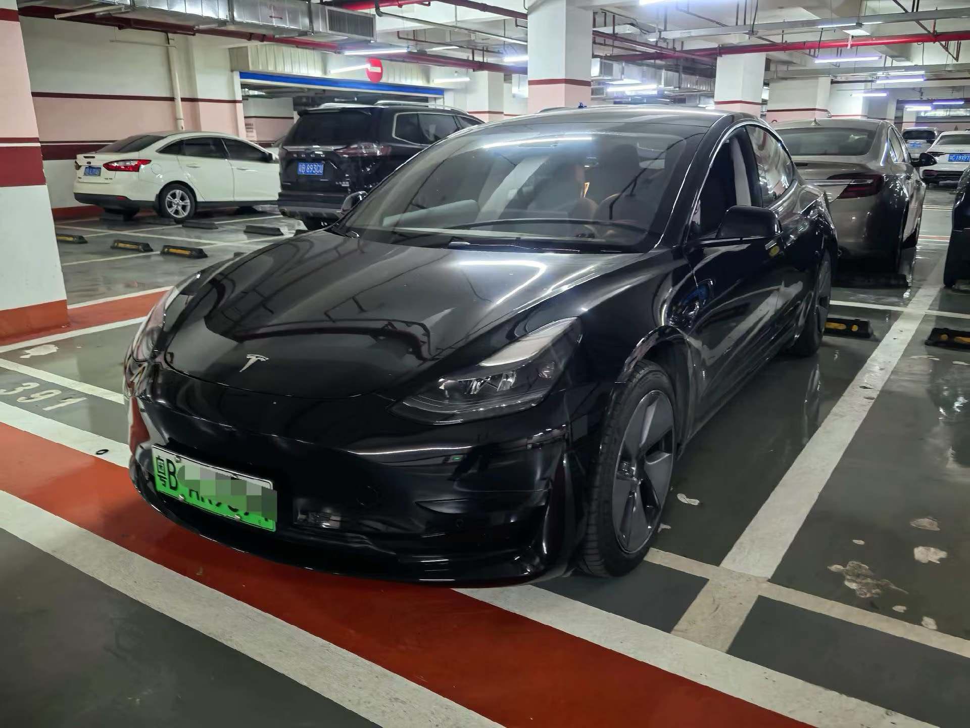 Tesla Model 3 2023 car image 