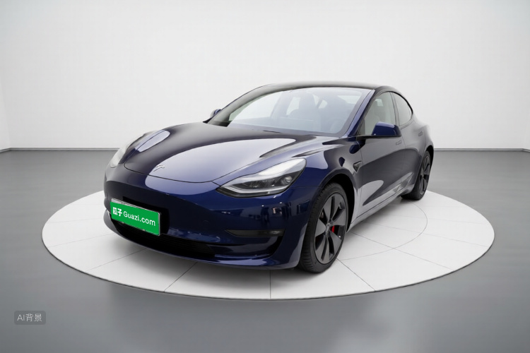 Tesla Model 3 2021 #2 Tesla Model 3 2021 car image #2