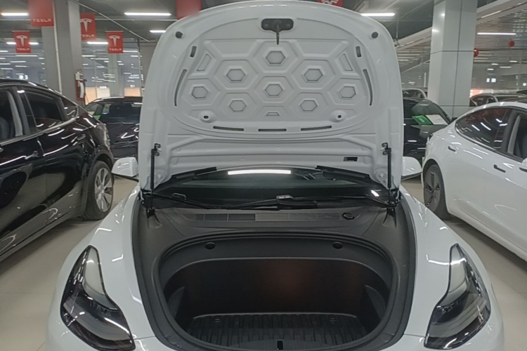 Tesla Model 3 2021 #20 Tesla Model 3 2021 car image #20