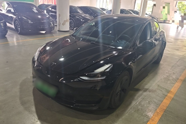 Tesla Model 3 2021 #2 Tesla Model 3 2021 car image #2