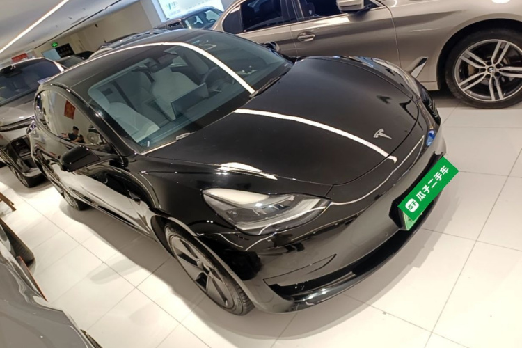 Tesla Model 3 2021 #4 Tesla Model 3 2021 car image #4