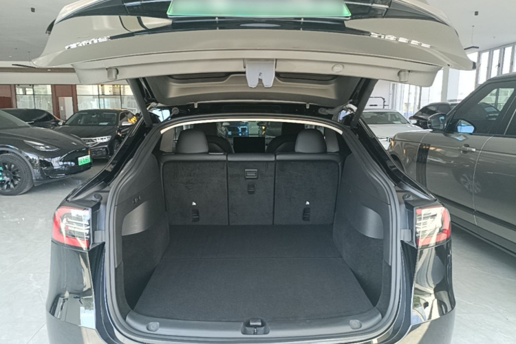 Tesla Model Y 2023 car image #19