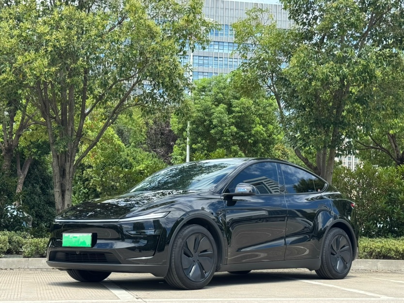 Tesla Model Y 2025 car image 