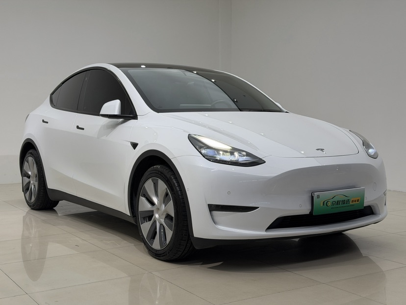 Tesla Model Y 2021 car image #3