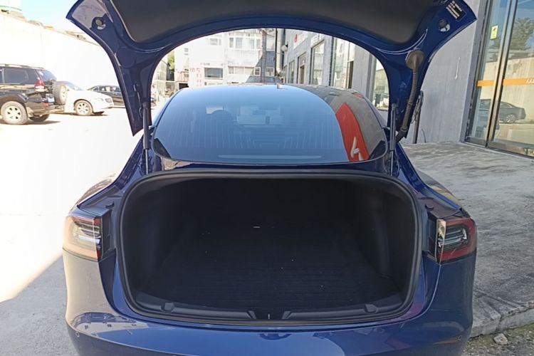 Tesla Model 3 2020 car image #23