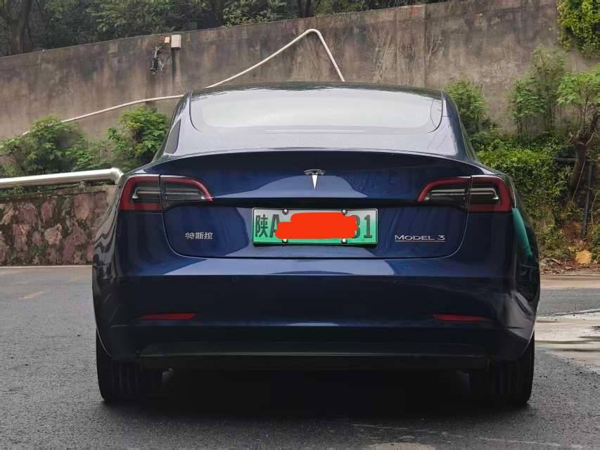 Tesla Model 3 2021 immagine di auto #5