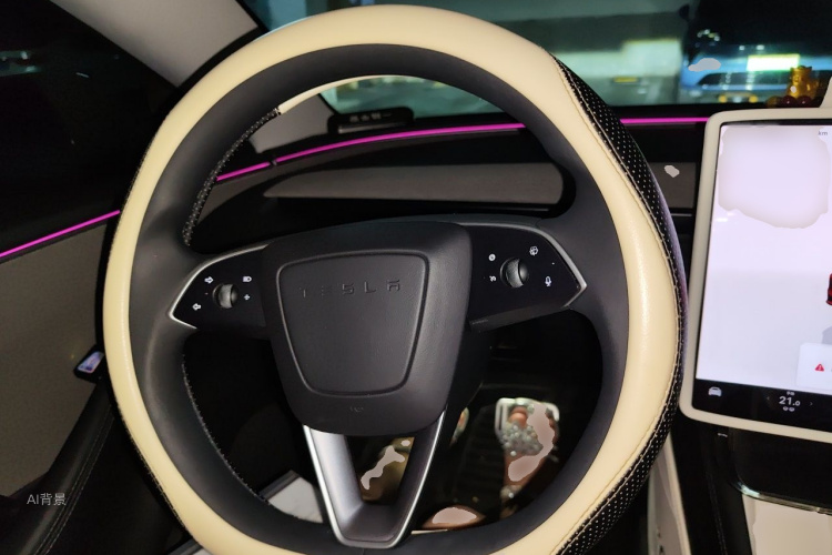 Tesla Model 3 2025 car image #12