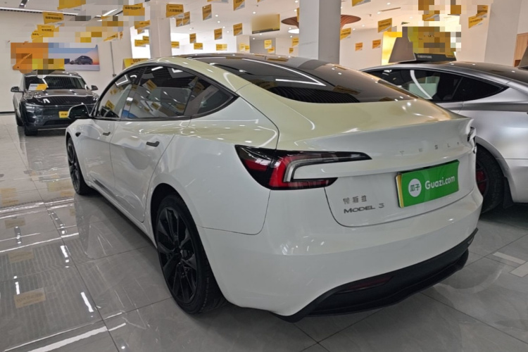Tesla Model 3 2023 car image #5