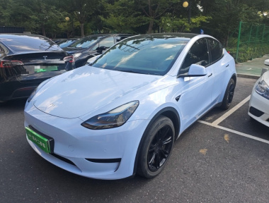 Tesla Model Y 2022 Tesla Model Y 2022 car image