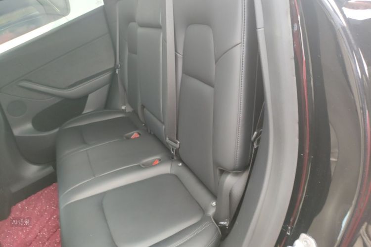 Tesla Model Y 2021 car image #19