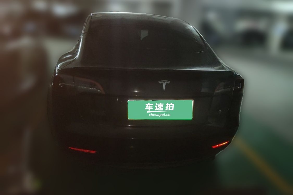 Tesla Model 3 2021 #6 Tesla Model 3 2021 car image #6