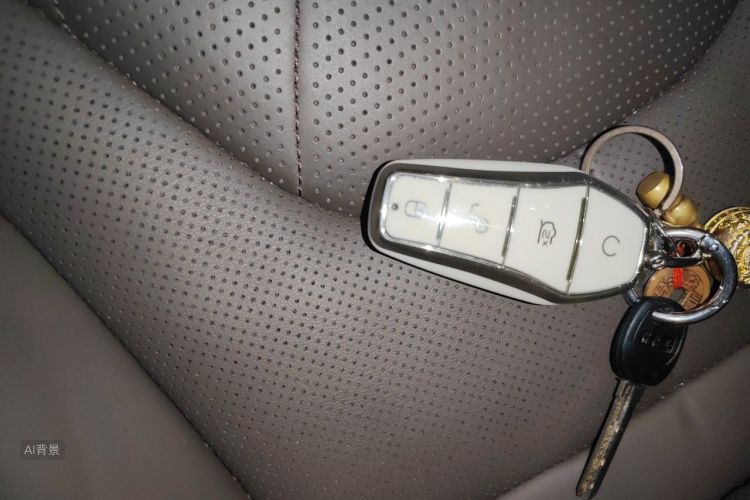 BYD Han 2022 car image #10