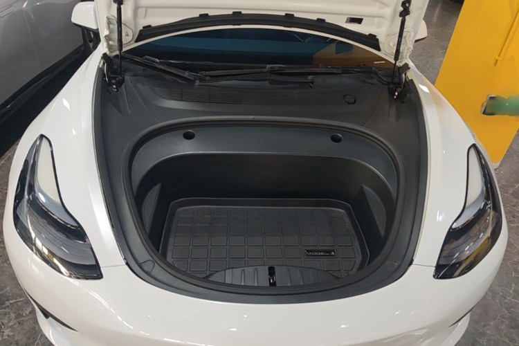 Tesla Model 3 2021 #22 Tesla Model 3 2021 car image #22