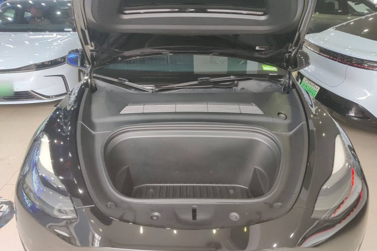Tesla Model Y 2021 car image #20