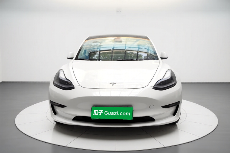 Tesla Model 3 2021 #3 Tesla Model 3 2021 car image #3