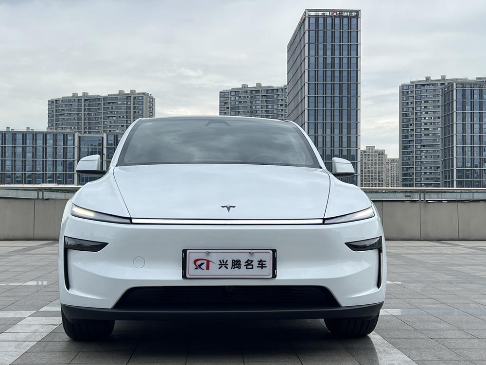 Tesla Model Y #2 Tesla Model Y car image #2