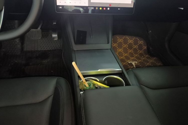 Tesla Model 3 2025 immagine di auto #14