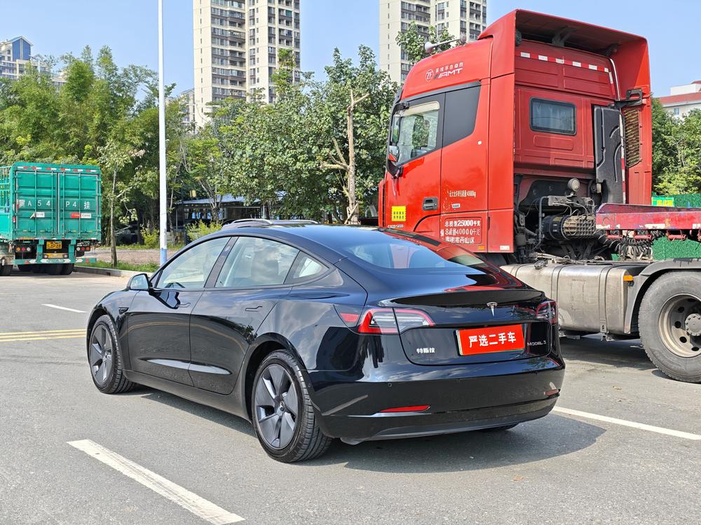 Tesla Model 3 2021 #13 Tesla Model 3 2021 car image #13