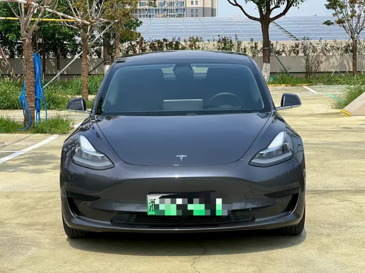 Tesla Model 3 2020 #2 Tesla Model 3 2020 car image #2