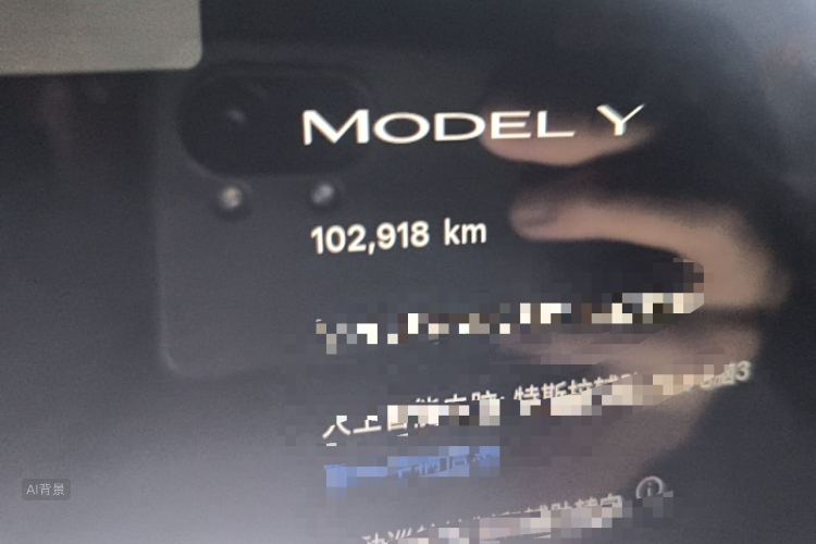 Tesla Model Y 2023 car image #14