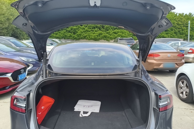 Tesla Model 3 2021 #21 Tesla Model 3 2021 car image #21