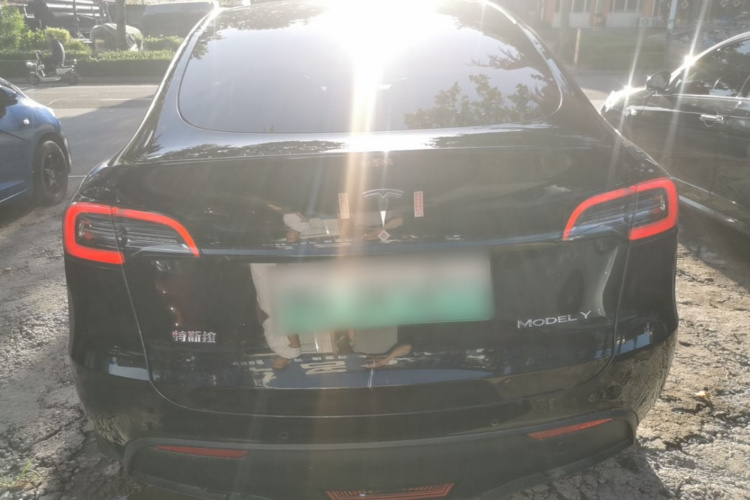 Tesla Model Y 2022 #6 Tesla Model Y 2022 car image #6