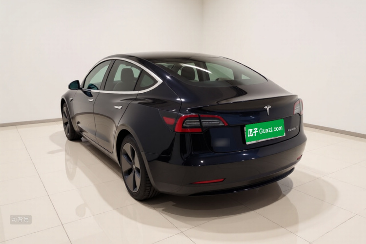 Tesla Model 3 2020 car image #5