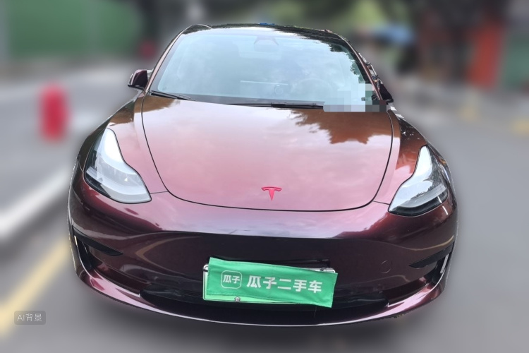 Tesla Model 3 2021 #3 Tesla Model 3 2021 car image #3