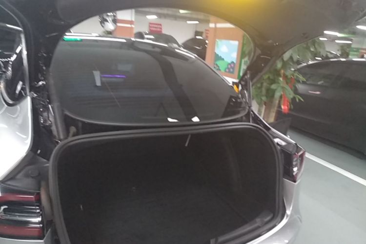 Tesla Model 3 2021 car image #19