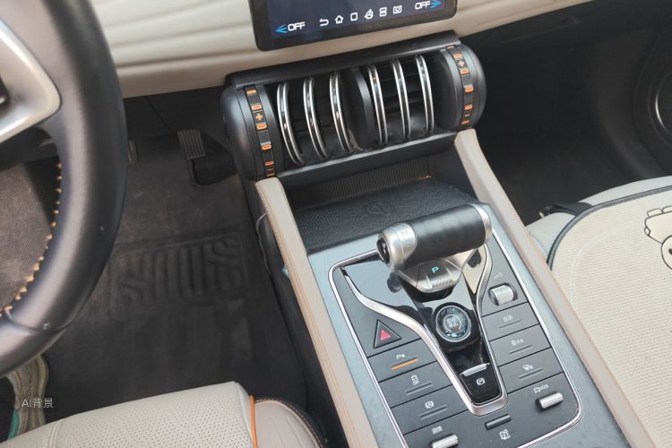 BYD Yuan Plus 2024 car image #10