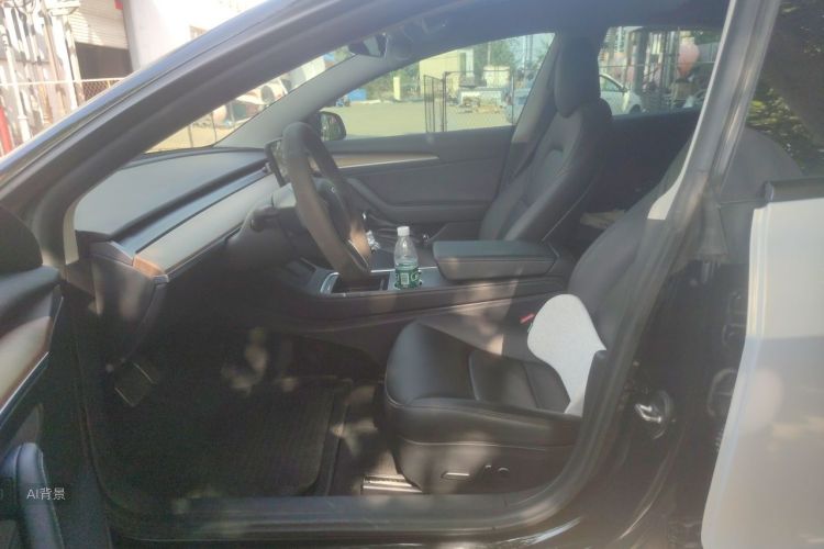 Tesla Model 3 2021 car image #17