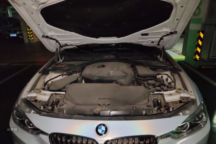 BMW 3 Series 2018 car image #22