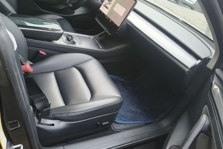 Tesla Model 3 2021 car image #24