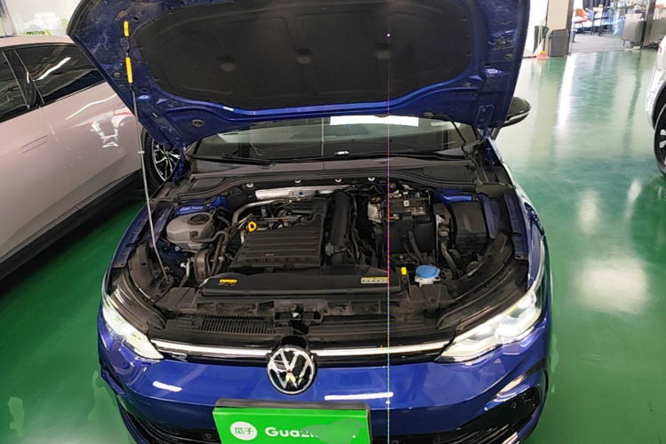 Volkswagen Golf 2021 #20 Volkswagen Golf 2021 car image #20