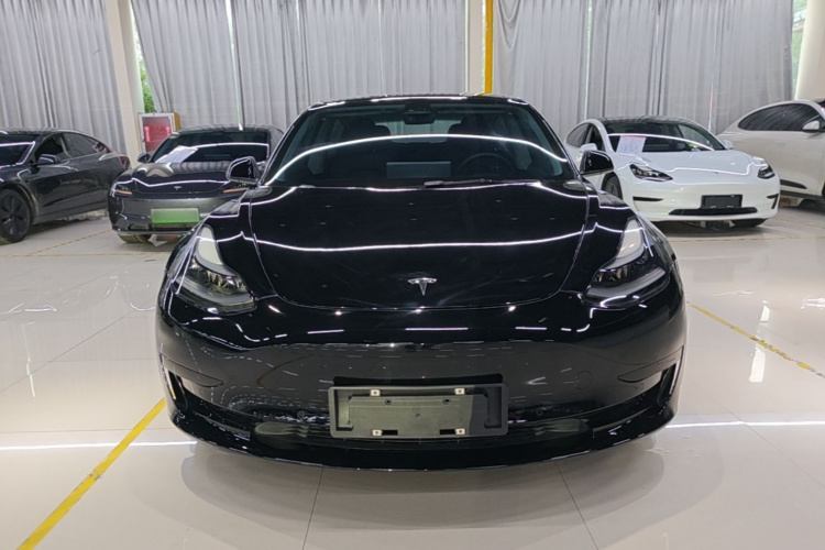 Tesla Model 3 2021 car image #3