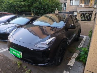 Tesla Model Y 2021 Tesla Model Y 2021 immagine di auto