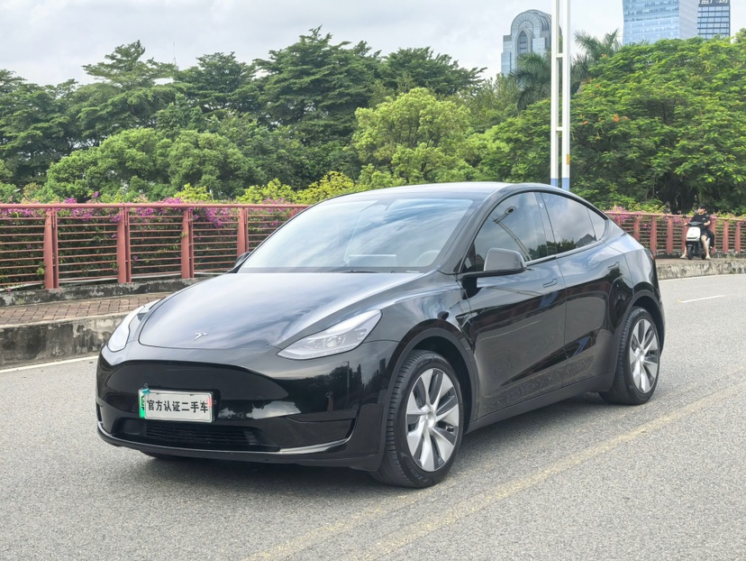 Tesla Model Y 2022 Tesla Model Y 2022 car image