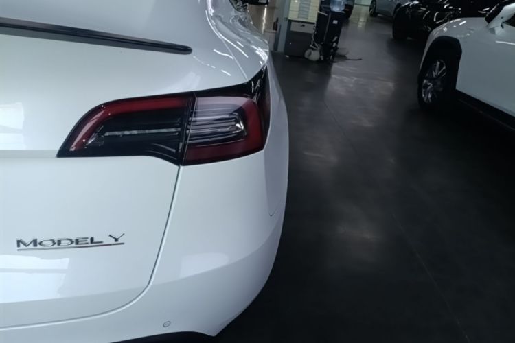 Tesla Model Y 2023 car image #8