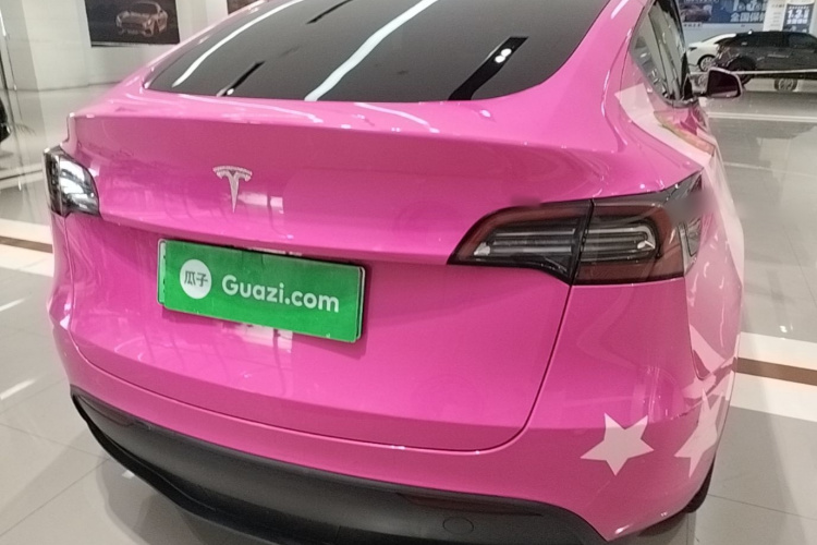 Tesla Model Y 2021 #6 Tesla Model Y 2021 car image #6
