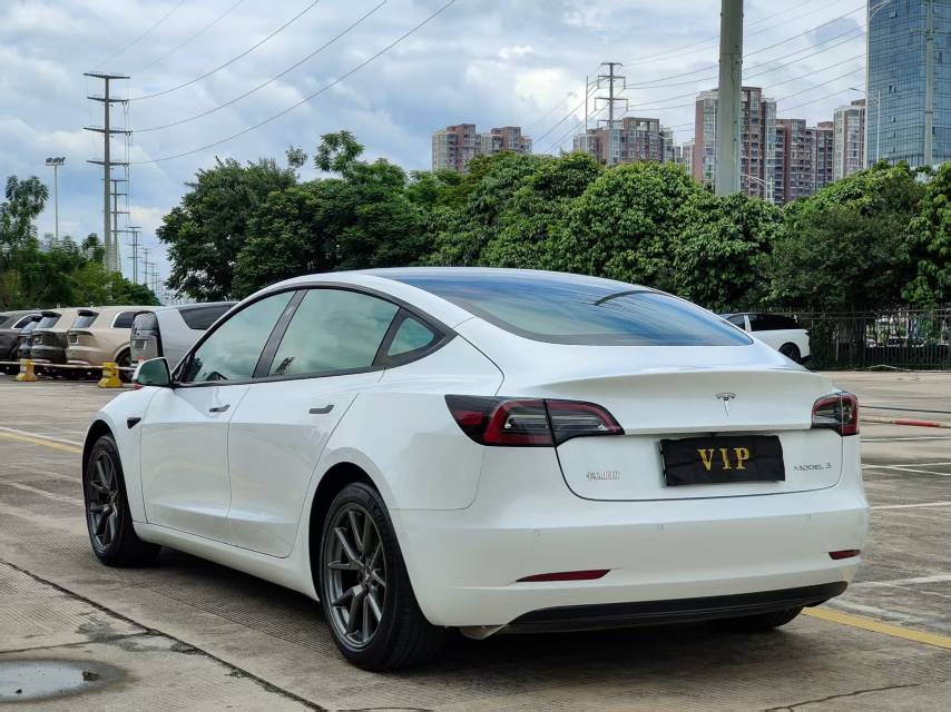 Tesla Model 3 2021 #5 Tesla Model 3 2021 car image #5