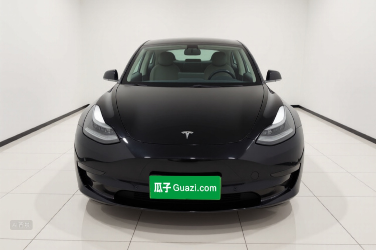 Tesla Model 3 2020 #3 Tesla Model 3 2020 car image #3
