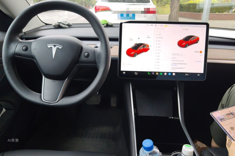 Tesla Model 3 2020 car image #11