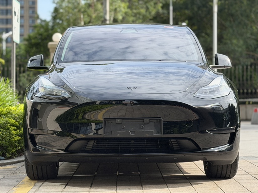 Tesla Model Y 2023 #2 Tesla Model Y 2023 car image #2