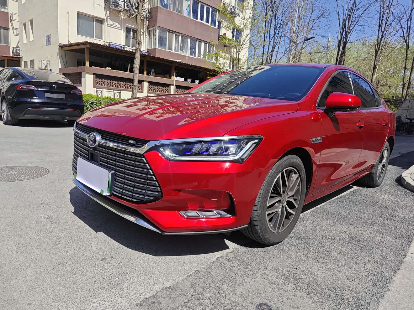 BYD Qin Pro New Energy 2020 car image 